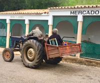 Tag 5 - Fortbewegungsmittel in Alte