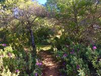 Tag 6 - Weg zwischen Senhora da Rocha und dem Leuchtturm von Alfanzina