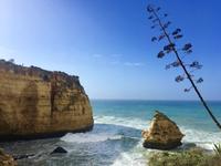 Tag 7 - Küstenwanderung nach Carvoeiro