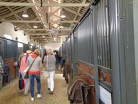 Ställe der Reitschule