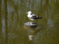 Porto - Lissabon Park