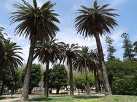 Porto - Park an der Douro Mündung