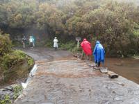 Wanderung zu den 25 Quellen im Tal von Rabacal