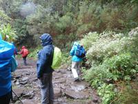 Wanderung zu den 25 Quellen im Tal von Rabacal