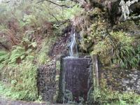 Wanderung zu den 25 Quellen im Tal von Rabacal