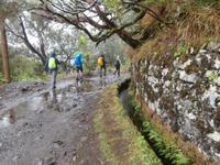 Wanderung zu den 25 Quellen im Tal von Rabacal
