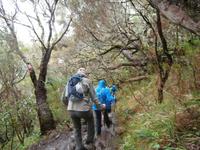 Wanderung zu den 25 Quellen im Tal von Rabacal