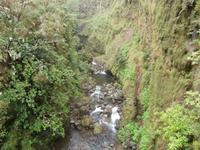 Wanderung zu den 25 Quellen im Tal von Rabacal