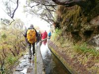Wanderung zu den 25 Quellen im Tal von Rabacal