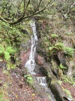 Wanderung zu den 25 Quellen im Tal von Rabacal
