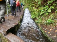Wanderung zu den 25 Quellen im Tal von Rabacal
