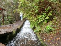 Wanderung zu den 25 Quellen im Tal von Rabacal