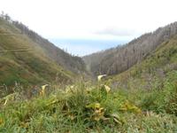 Wanderung zu den 25 Quellen im Tal von Rabacal