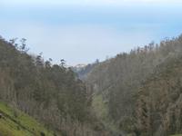 Wanderung zu den 25 Quellen im Tal von Rabacal Blick zum Meer