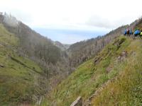 Wanderung zu den 25 Quellen im Tal von Rabacal Blick zum Meer