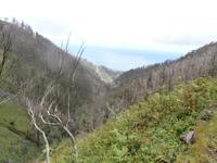 Wanderung zu den 25 Quellen im Tal von Rabacal Blick zum Meer