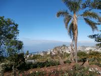 Botanischer Garten Funchal