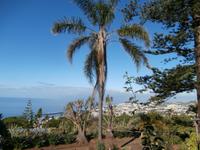 Botanischer Garten Funchal