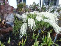 Botanischer Garten Funchal