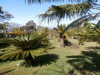 Botanischer Garten Funchal