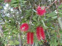 Botanischer Garten Funchal