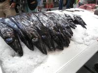 Espetata schwarzer Degenfisch