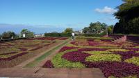 Botanischer Garten Funchal