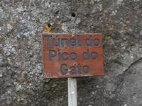 Wanderung zum Pico do Ruivo