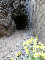 Wanderung zum Pico do Ruivo