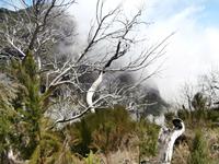 Wanderung zum Pico do Ruivo