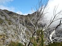 Wanderung zum Pico do Ruivo