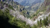 Wanderung zum Pico do Ruivo