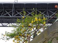 Singlereise Porto und Lissabon - Porto