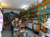 Singlereise Porto und Lissabon - Porto