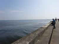 Singlereise Porto und Lissabon - Porto