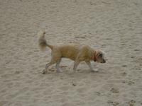 Singlereise Porto und Lissabon - Nazarè