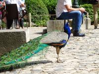 Singlereise Porto und Lissabon - Lissabon