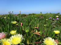 Singlereise Porto und Lissabon - Cabo da Roca