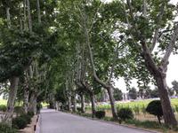 Weingut Quinta da Pacheca