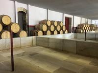 Weingut Quinta da Pacheca