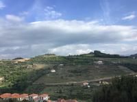 Hotel Lamego Zimmer mit Aussicht