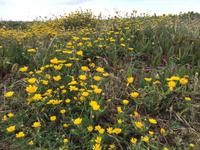 Cabo da Roca - westlichster Punkt des europäischen Festlandes