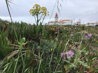 Cabo da Roca - westlichster Punkt des europäischen Festlandes