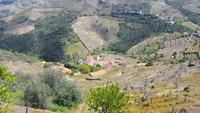 Weinberge um Peso da Régua