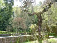 Palácio Hotel do Buçaco
