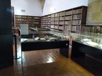 Universität Coimbra- Bücherei