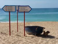 Abschied von der Algave