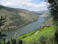 was für eine Aussicht von der Quinta do Seixa