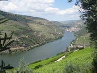 was für eine Aussicht von der Quinta do Seixa