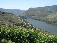 was für eine Aussicht von der Quinta do Seixa